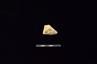 陶片藏品圖，第2張